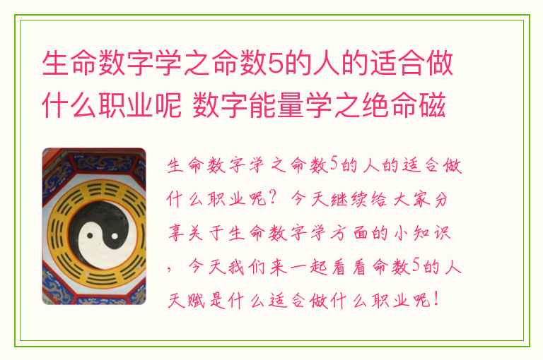 生命数字学之命数5的人的适合做什么职业呢 数字能量学之绝命磁场