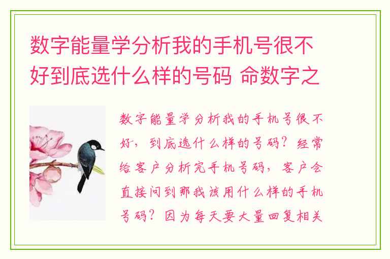 数字能量学分析我的手机号很不好到底选什么样的号码 命数字之9号人的个性特点和人生课题是什么呢