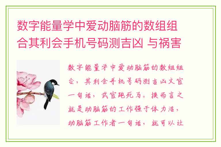 数字能量学中爱动脑筋的数组组合其利会手机号码测吉凶 与祸害磁场的人相处之道