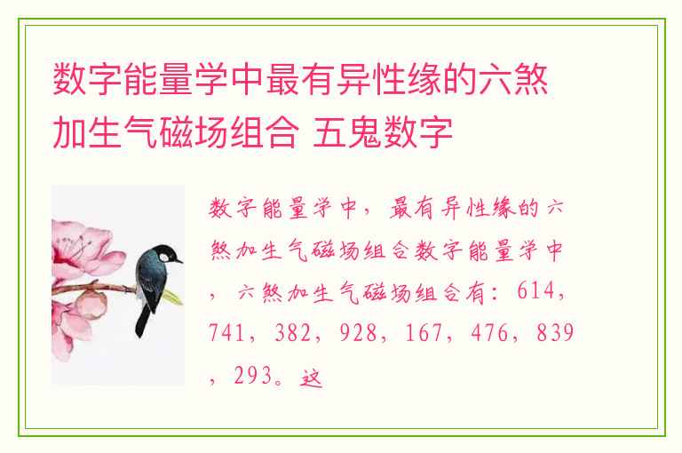 数字能量学中最有异性缘的六煞加生气磁场组合 五鬼数字
