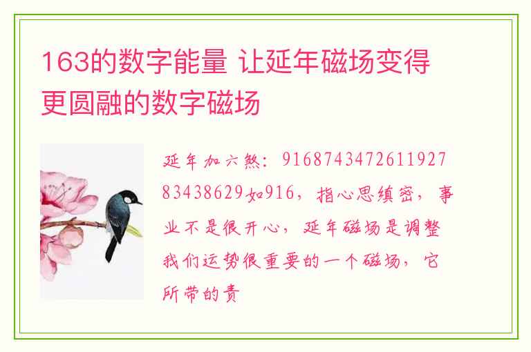 163的数字能量 让延年磁场变得更圆融的数字磁场