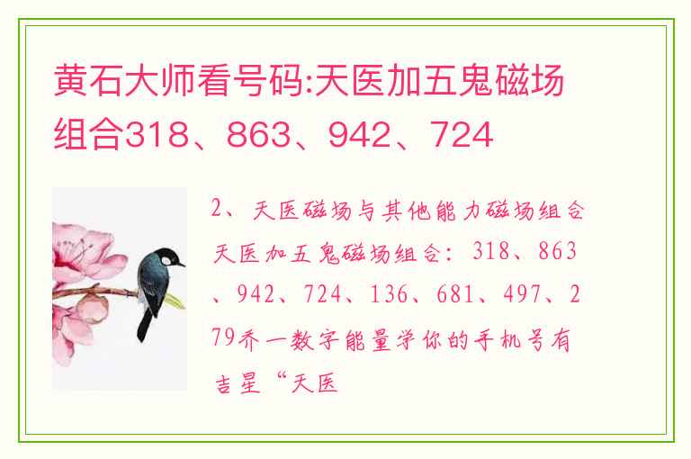 黄石大师看号码:天医加五鬼磁场组合318、863、942、724