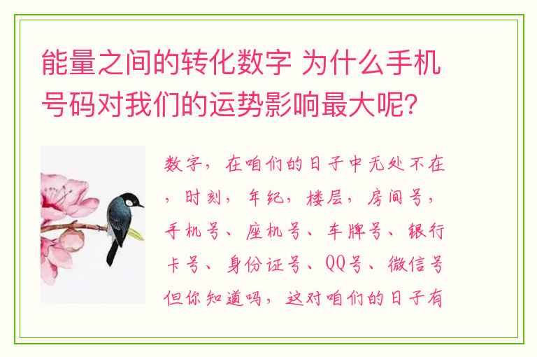 能量之间的转化数字 为什么手机号码对我们的运势影响最大呢？