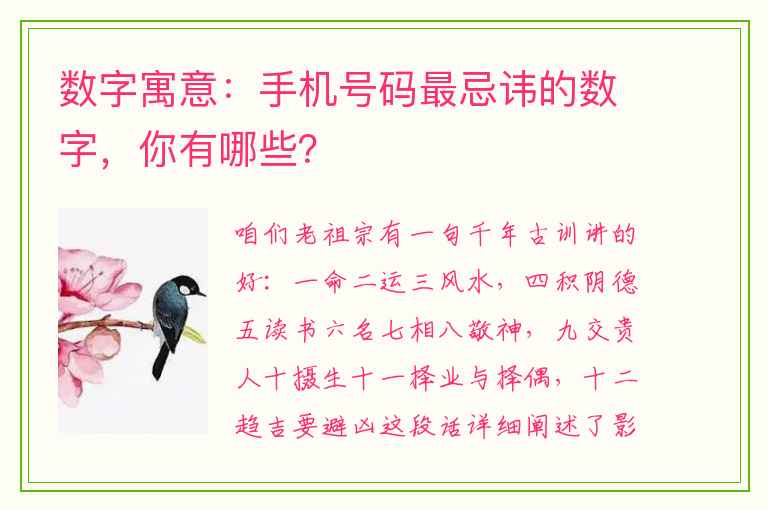 数字寓意：手机号码最忌讳的数字，你有哪些？