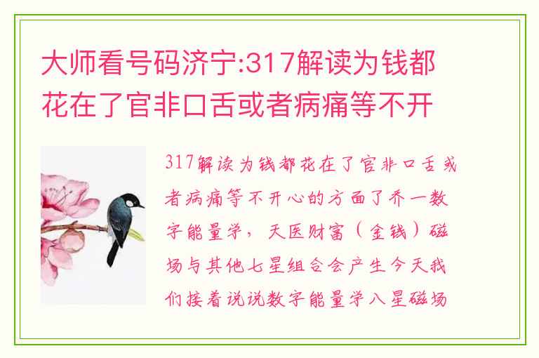 大师看号码济宁:317解读为钱都花在了官非口舌或者病痛等不开心的方面了