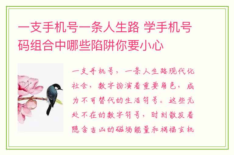 一支手机号一条人生路 学手机号码组合中哪些陷阱你要小心