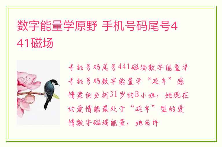 数字能量学原野 手机号码尾号441磁场