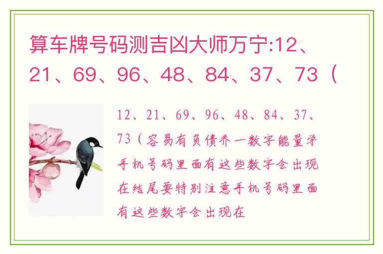 算车牌号码测吉凶大师万宁:12、21、69、96、48、84、37、73（容易有负债