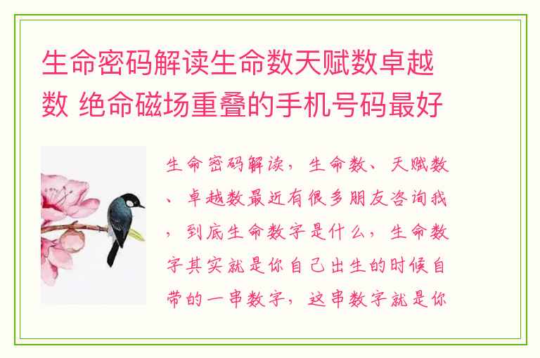 生命密码解读生命数天赋数卓越数 绝命磁场重叠的手机号码最好不要选你知道是为什么吗