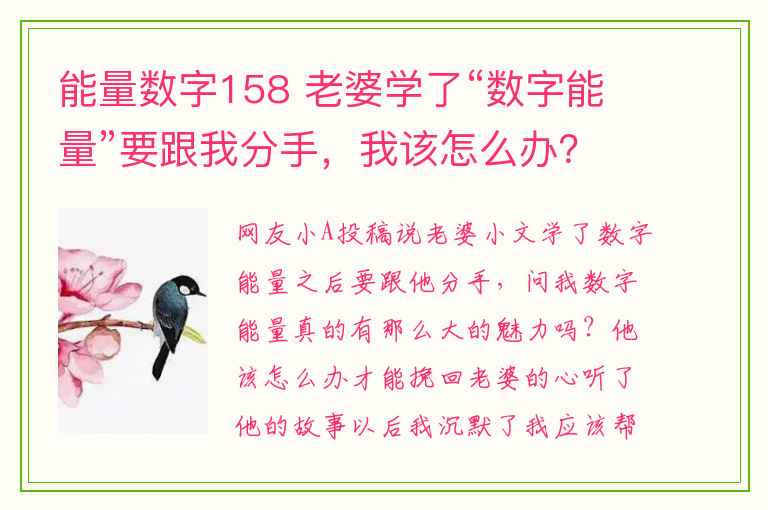 能量数字158 老婆学了“数字能量”要跟我分手，我该怎么办？